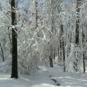 Meet your Posher, Doyce